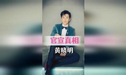 大锤爆料官宣视频在线观看,揭秘幕后精彩瞬间，在线观看不容错过